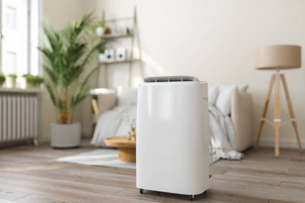 Ductless HVAC Repair in North Alamo, TX